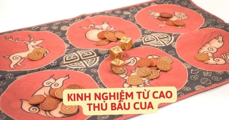 Chiến lược đặt cược bầu cua hiệu quả